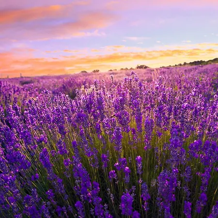 In - Balaton 53129 Lägenhet *